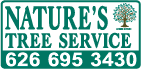 Natures Tree Service